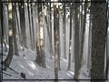 2011-03-08 08-07-35-黑森林踏雪行.JPG